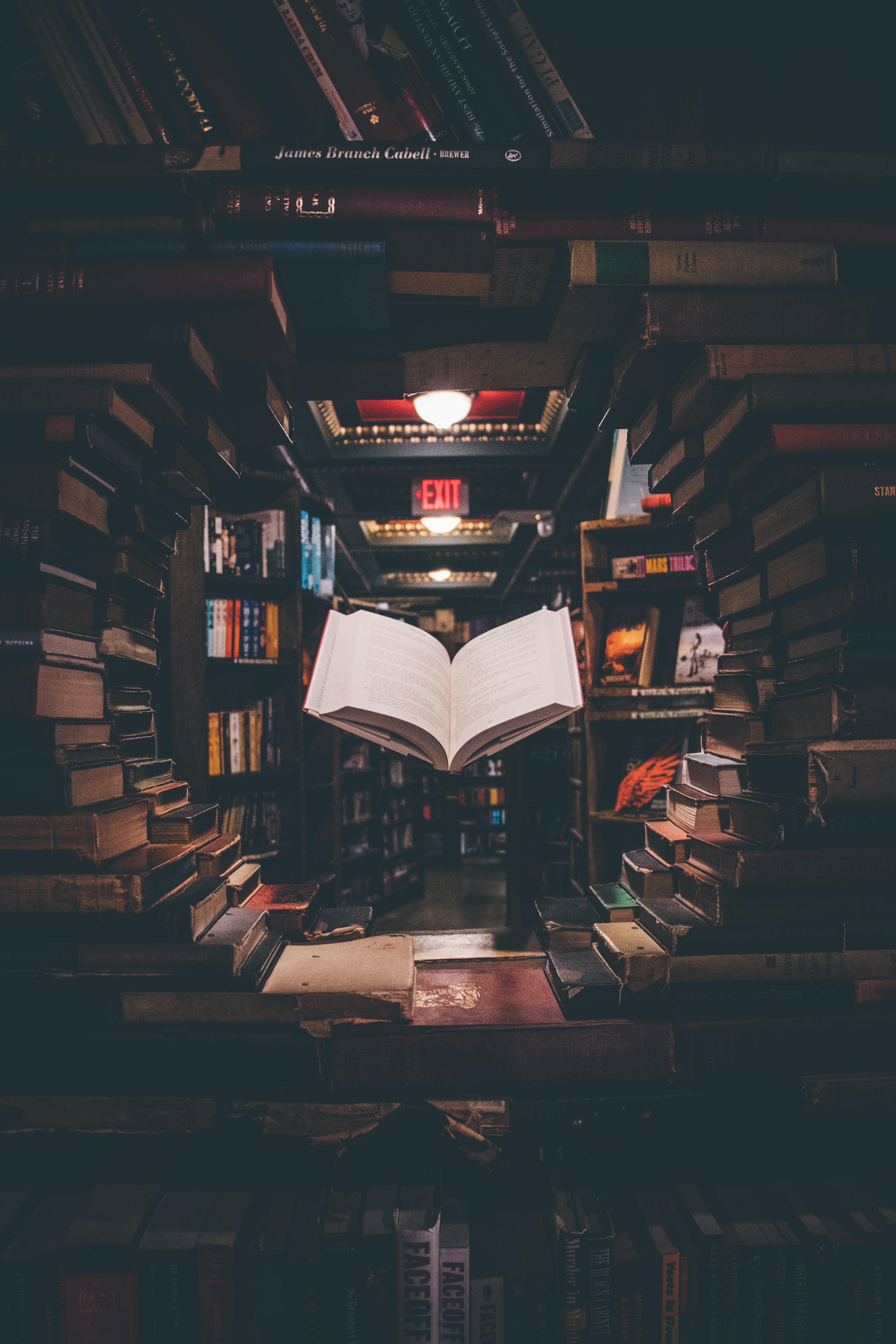 Library filled with books